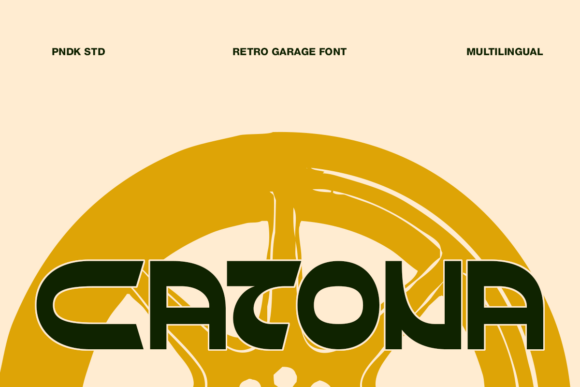 Font That Speaks Volumes: How Catona Elevates Your Brand