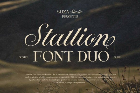 Stallion Duo: A Font for Editorial Excellence